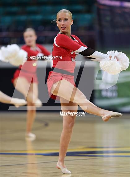 Thumbnail 1 in Regis Jesuit (CHSAA 5A State Spirit Championships) photogallery.