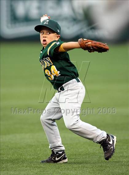 Thumbnail 3 in Edison vs. Capistrano Valley (CIF SS D1 Final) photogallery.