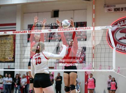 Thumbnail 3 in Pioneer @ Sharyland photogallery.