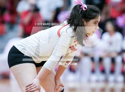 Thumbnail 2 in Pioneer @ Sharyland photogallery.