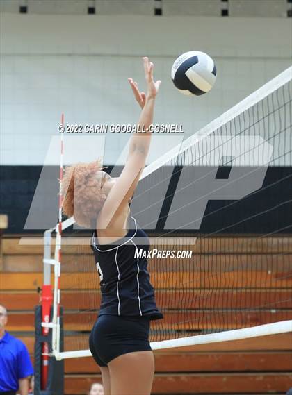 Thumbnail 2 in Jacksonville @ Havelock photogallery.