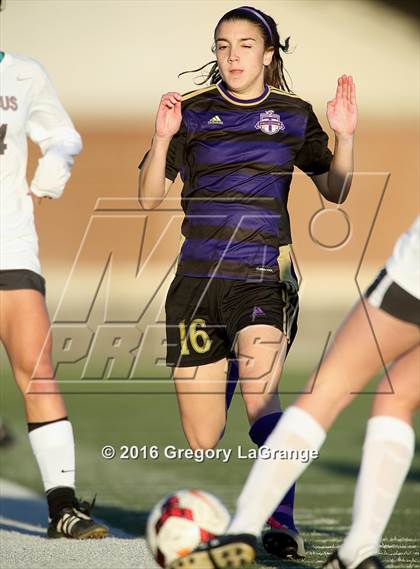 Thumbnail 1 in Marcus vs. Timber Creek photogallery.