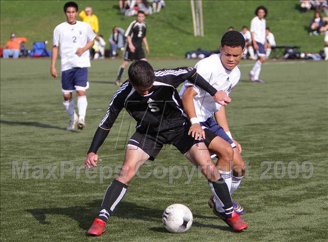 null - Photo 21