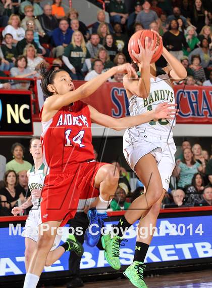 Thumbnail 2 in T.W. Andrews vs Bandys (NCHSAA 2A Final) photogallery.