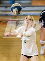 Photo from the gallery "Miramonte @ St. Joseph Notre Dame"