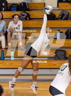 Photo from the gallery "Miramonte @ St. Joseph Notre Dame"