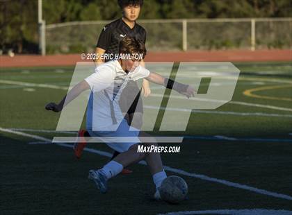 Thumbnail 3 in JV: El Segundo @ Peninsula photogallery.