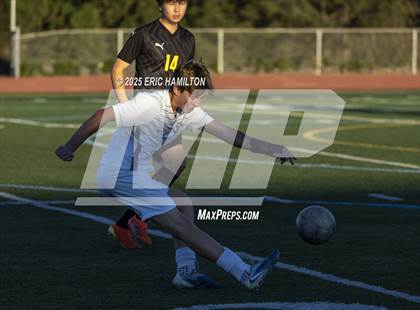 Thumbnail 1 in JV: El Segundo @ Peninsula photogallery.