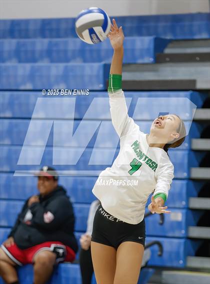 Thumbnail 2 in McIntosh vs. St. Vincent's (Lovett Block Party) photogallery.