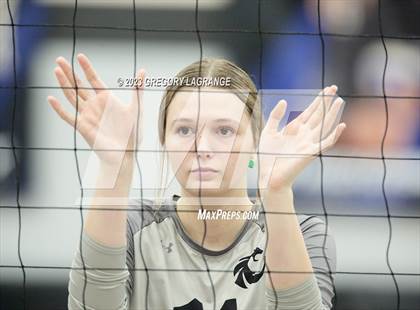 Thumbnail 1 in Allen vs Guyer photogallery.