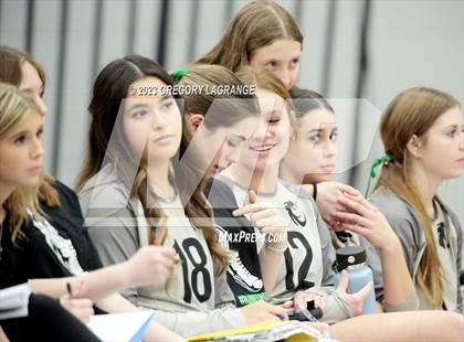 Thumbnail 1 in Allen vs Guyer photogallery.