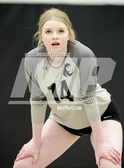 Thumbnail 3 in Allen vs Guyer photogallery.
