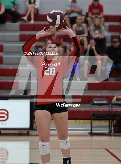 Thumbnail 3 in Mountain Ridge @ Cedar Valley (Sophomore) photogallery.
