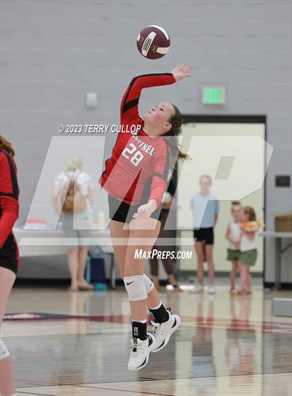 Thumbnail 3 in Mountain Ridge @ Cedar Valley (Sophomore) photogallery.