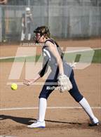 Photo from the gallery "Berean Christian @ Clayton Valley Charter"