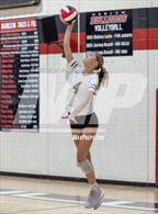 Photo from the gallery "Evans @ Harlem"