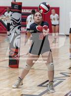 Photo from the gallery "Evans @ Harlem"