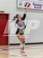 Photo from the gallery "Evans @ Harlem"