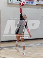 Photo from the gallery "Evans @ Harlem"