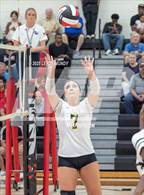 Photo from the gallery "Evans @ Harlem"