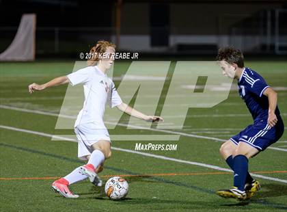 Thumbnail 3 in Norwin @ Greater Latrobe photogallery.