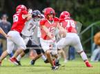 Photo from the gallery "Hawley @ Albany"