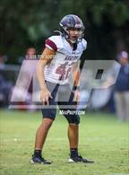 Photo from the gallery "Hawley @ Albany"