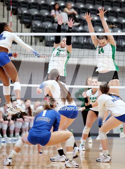 Thumbnail 3 in Hebron vs Southlake Carroll(UIL 6A Volleyball Regional Semi-final Division 2) photogallery.