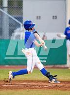 Photo from the gallery "King @ Sumner (Saladino)"