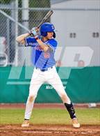 Photo from the gallery "King @ Sumner (Saladino)"