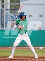 Photo from the gallery "King @ Sumner (Saladino)"