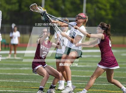 Thumbnail 1 in Walt Whitman vs William Floyd photogallery.