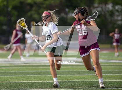 Thumbnail 3 in Walt Whitman vs William Floyd photogallery.