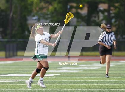 Thumbnail 3 in Walt Whitman vs William Floyd photogallery.