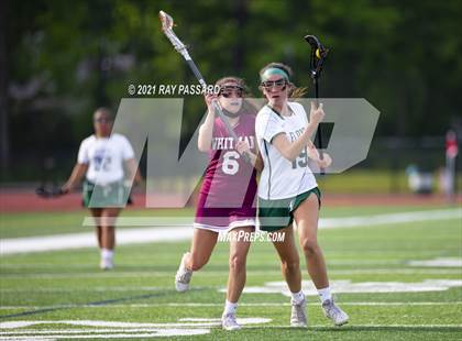 Thumbnail 3 in Walt Whitman vs William Floyd photogallery.