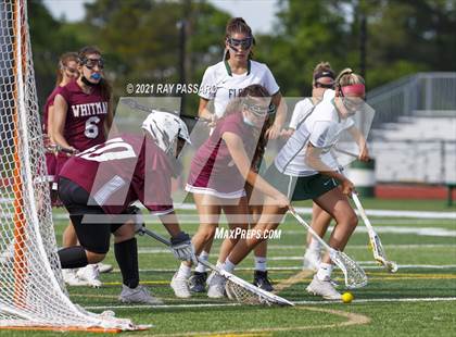 Thumbnail 2 in Walt Whitman vs William Floyd photogallery.