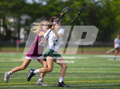 Thumbnail 2 in Walt Whitman vs William Floyd photogallery.