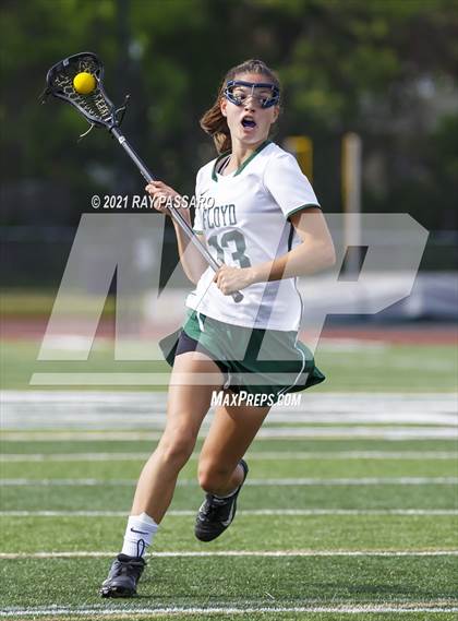 Thumbnail 3 in Walt Whitman vs William Floyd photogallery.