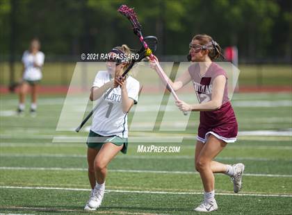 Thumbnail 3 in Walt Whitman vs William Floyd photogallery.