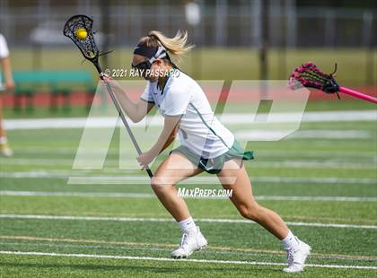 Thumbnail 3 in Walt Whitman vs William Floyd photogallery.
