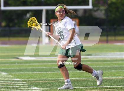 Thumbnail 3 in Walt Whitman vs William Floyd photogallery.