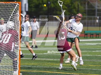 Thumbnail 3 in Walt Whitman vs William Floyd photogallery.