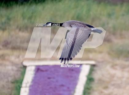Thumbnail 3 in Oakmont @ Whitney photogallery.