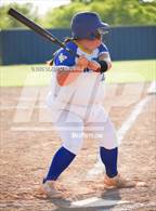 Photo from the gallery "Howe @ Leonard"