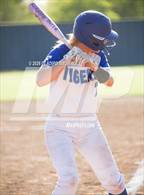 Photo from the gallery "Howe @ Leonard"
