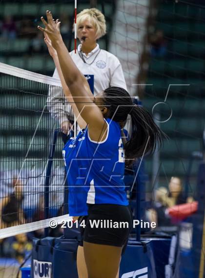 Thumbnail 3 in Williamsville South vs. John Glenn (NYSPHSAA Class B Final) photogallery.