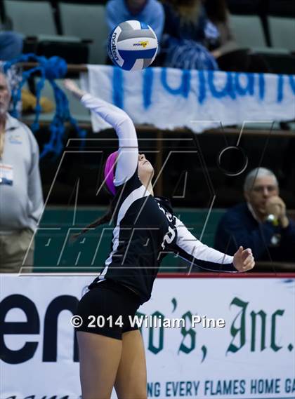 Thumbnail 1 in Williamsville South vs. John Glenn (NYSPHSAA Class B Final) photogallery.