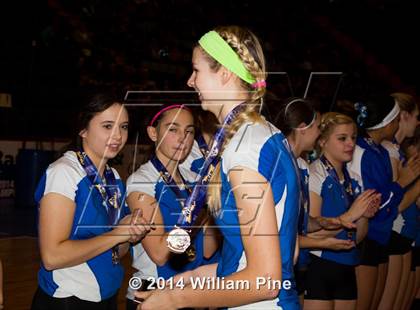 Thumbnail 3 in Williamsville South vs. John Glenn (NYSPHSAA Class B Final) photogallery.