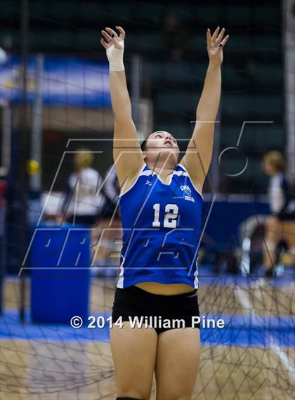 Thumbnail 2 in Williamsville South vs. John Glenn (NYSPHSAA Class B Final) photogallery.