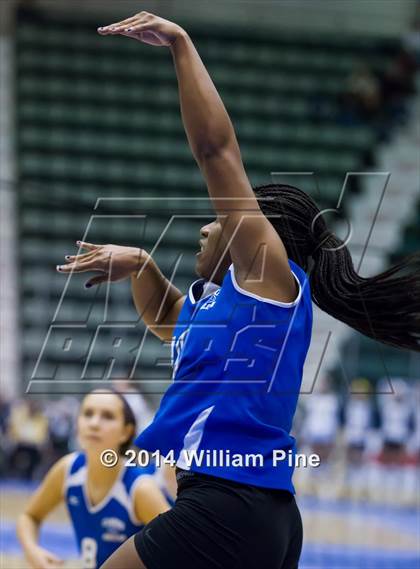Thumbnail 2 in Williamsville South vs. John Glenn (NYSPHSAA Class B Final) photogallery.